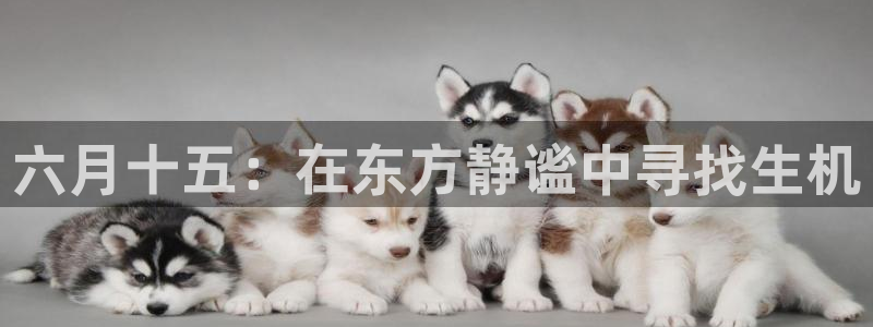 卧龙台球娱乐会所地址：六月十五：在东方静谧中寻找生机