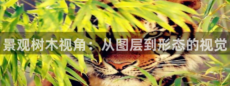 卧龙娱乐app彩票计划