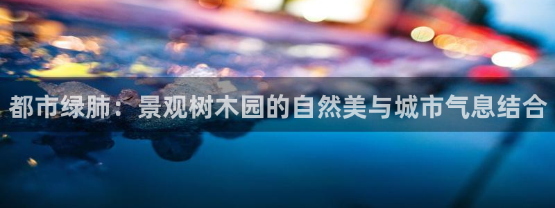 卧龙娱乐彩票官网下载