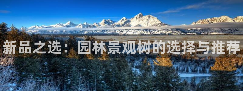卧龙娱乐彩票官网直播