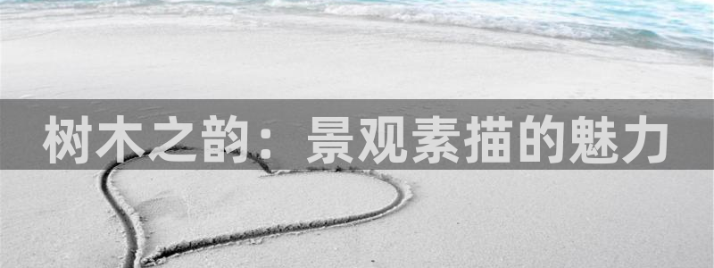 卧龙休闲娱乐推荐