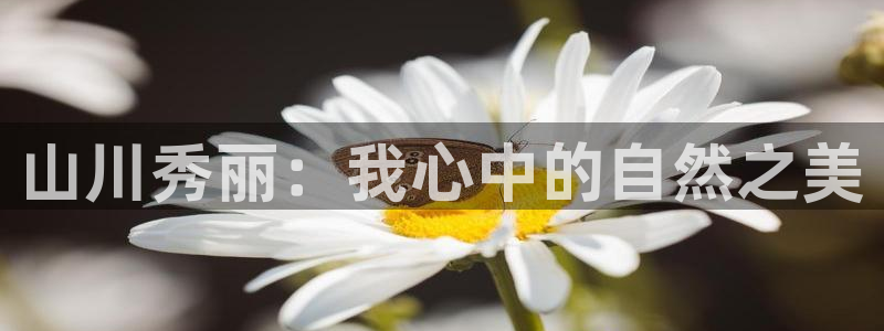 娱乐小卧龙