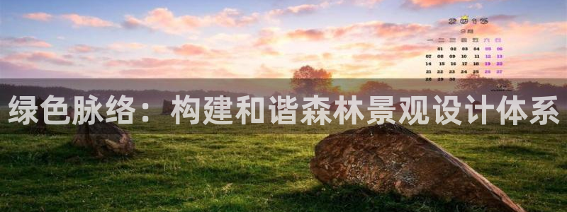 卧龙娱乐招商主管招聘：绿色脉络：构建和谐森林景观设计体系