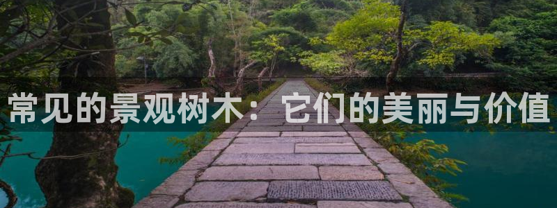 卧龙娱乐优七九九47