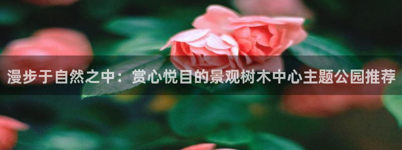 卧龙娱乐挂机平台：漫步于自然之中：赏心悦目的景观树木中心主题公园推荐