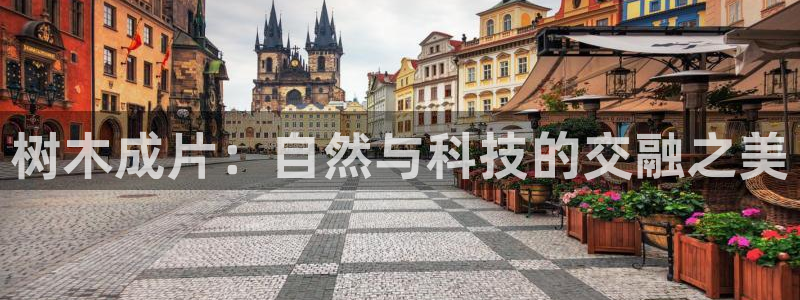 卧龙湾娱乐会所