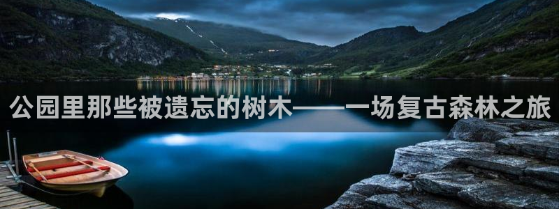 卧龙娱乐集团官网