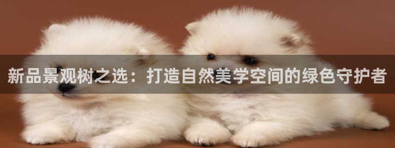 太和卧龙娱乐会所