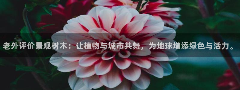 we娱乐 卧龙股东60447