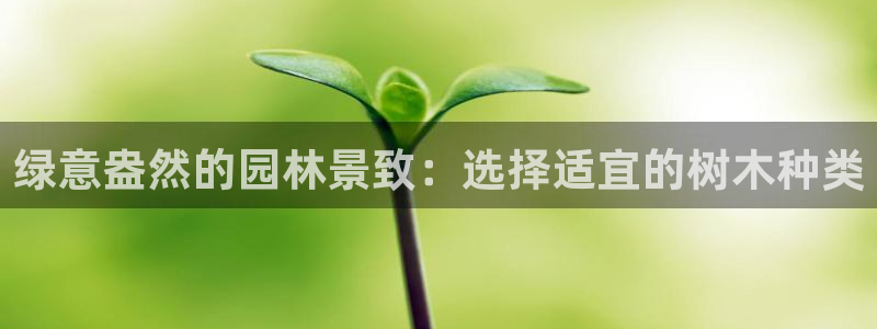 qq娱乐 卧龙主管60447