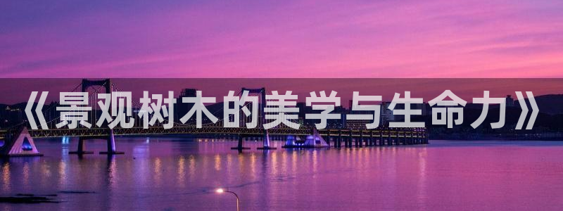 卧龙娱乐挂机平台