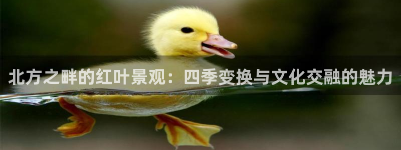 we娱乐 卧龙股东60447