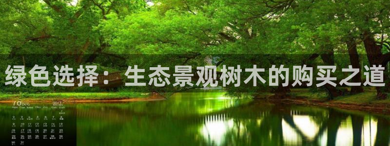 绥阳卧龙湖娱乐场所