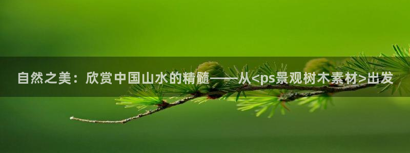 卧龙娱乐app下载安装