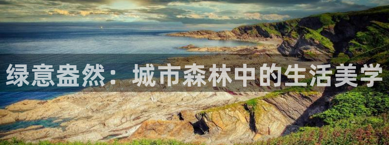 卧龙2神机娱乐攻略