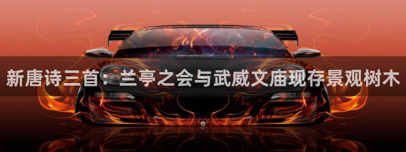 卧龙休闲娱乐热门推荐