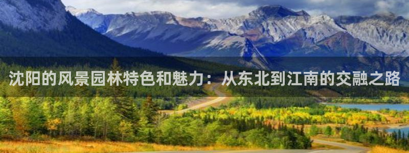 卧龙娱乐挂机软件