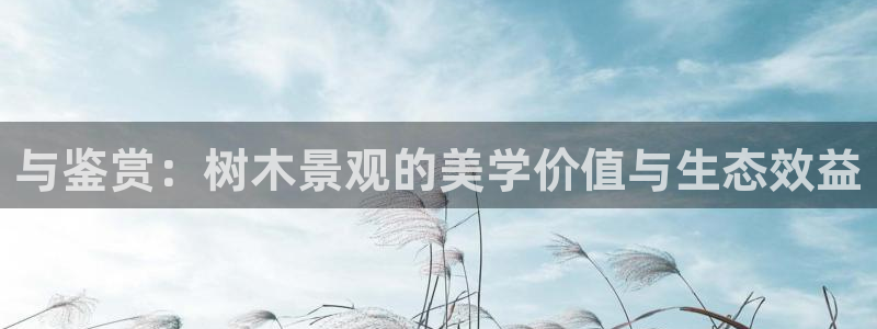 卧龙娱乐彩票怎么玩