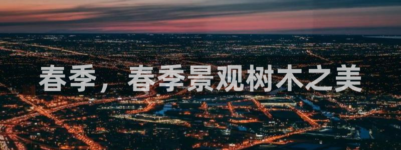 卧龙凤雏娱乐直播间