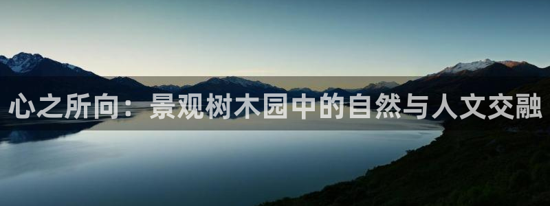 卧龙娱乐彩票兑奖中心