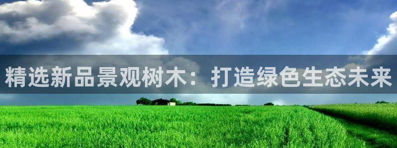 卧龙凤锄娱乐演员