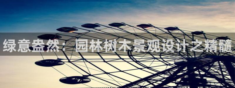 卧龙娱乐气垫项目投资