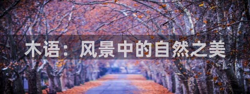 sky娱乐 扣卧龙60447:木语:风景中的自然之美