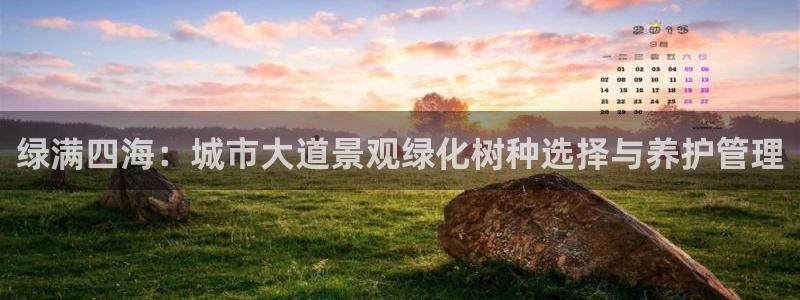 柏林娱乐- 0 卧龙