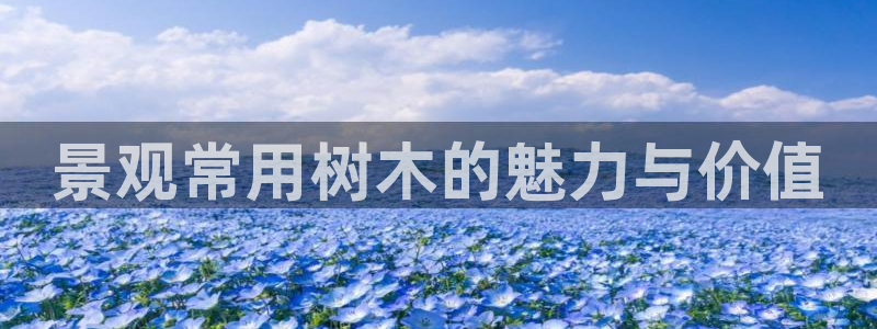 mvp娱乐 卧龙招商60447:景观常用树木的魅力与价值