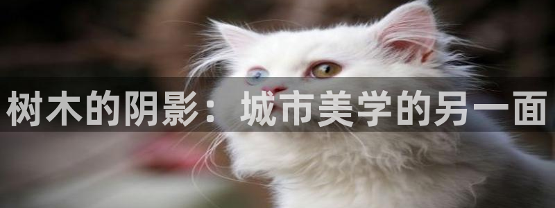 e彩娱乐 卧龙股东60447:树木的阴影:城市美学的另一面