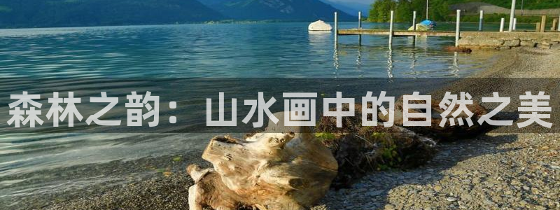 凤岗卧龙台球娱乐会所