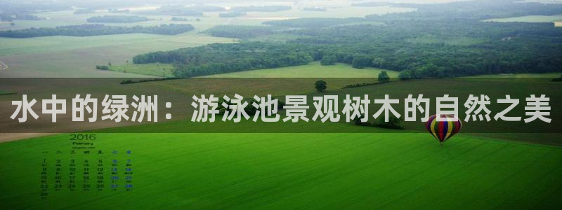 卧龙区维也纳娱乐会所