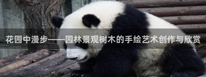 hr娱乐 扣卧龙60447