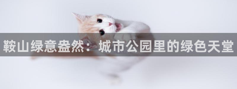 卧龙娱乐在线：鞍山绿意盎然：城市公园里的绿色天堂